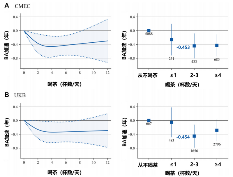 Sichuan University Team Finds: Drinking Tea Slows Aging, About 3 Cups Per Day May Be Most Effective!-4