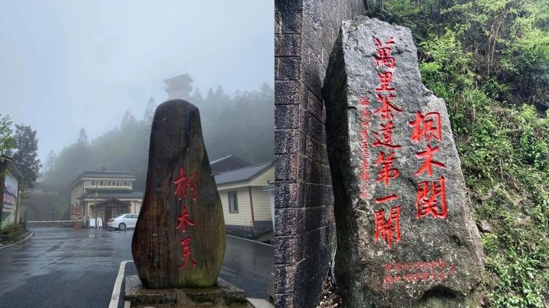 The Unique Ecological Environment of the Core Producing Area of Zhengshan XiaoZhong, the Ancestor of Black Tea-6