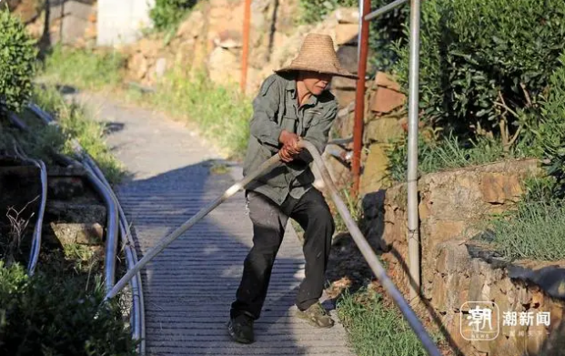 Hangzhou Endures High Temperatures as Tea Farmers Water to Fight Drought-7