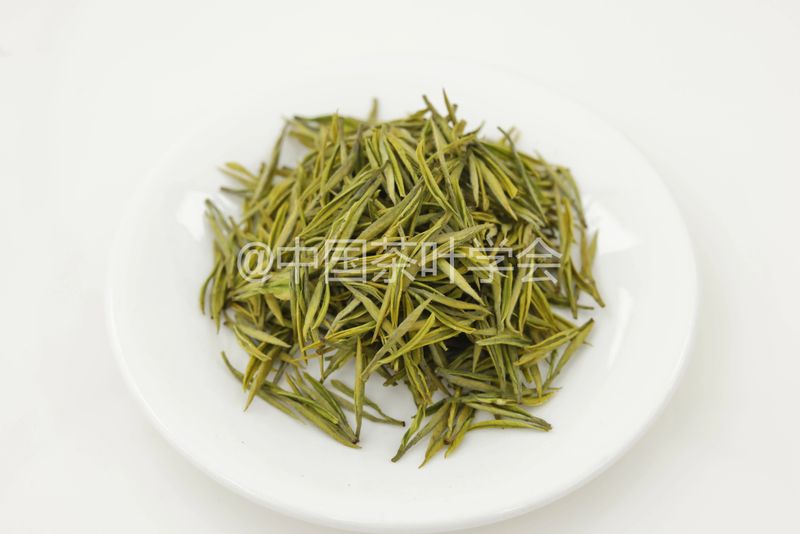 Weekly Tea Knowledge: I Know the Fresh Taste! Let's Talk About the Whitening and Yellowing of Tea Leaves ①-8