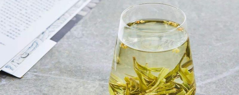 Brewing the Perfect Cup of Maojian Tea: How Important is Water Temperature?-1