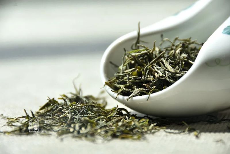 Green Tea is Best Enjoyed Fresh – Instead of Worrying About the Expiry Date, Learn How to Store It Properly!-2