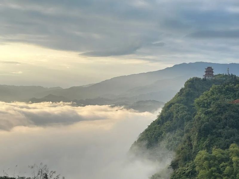 Pingshan County's Longhua Town: Enhanced Quality and Efficiency Yield New Greenery, Summer and Autumn Tea Bountiful Harvests-1