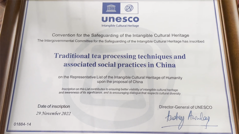 Puer Ning'er: Empowering Tea Culture Inheritance and Development with Intangible Cultural Heritage Techniques-5