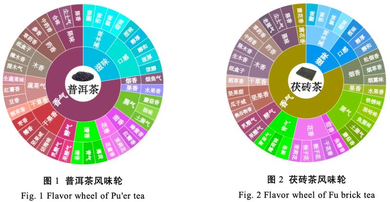 Construction and Application of the Flavor Wheel for Pu'er Tea and Fu Brick Tea-3