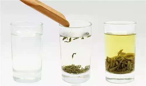 How to Brew the Perfect Cup of Green Tea? A Detailed Guide and Tips-3