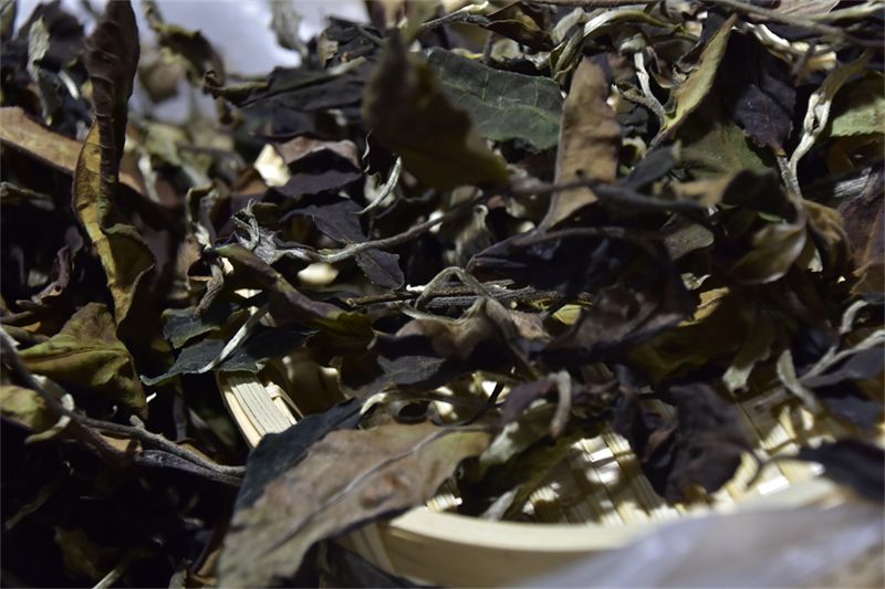 Typhoon Weather Approaches: Time to Pay Attention to Storing Your Tea!-2