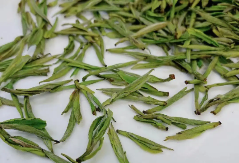 Can Green Tea Be Used for Kung Fu Tea Brewing?-1