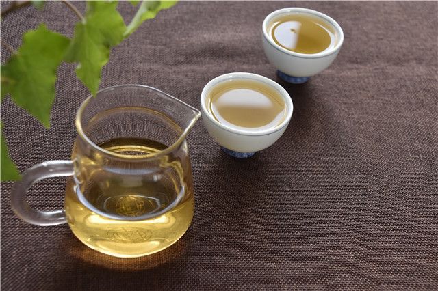 Puer Spring Tea: When Does the Harvest Begin?-3