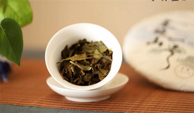 Four Brewing Methods for White Tea-1