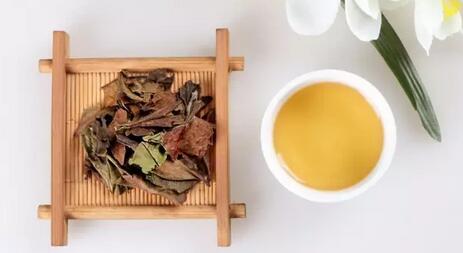 How to Brew White Tea for Better Taste-2