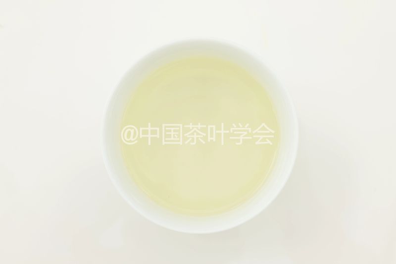 Weekly Tea Knowledge: I Know the Fresh Taste! Let's Talk About the Whitening and Yellowing of Tea Leaves ①-15