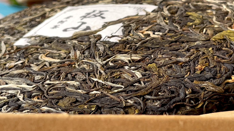 Features of Banshan Pu'er Tea and Brewing Method for Banshan Shengcha-3