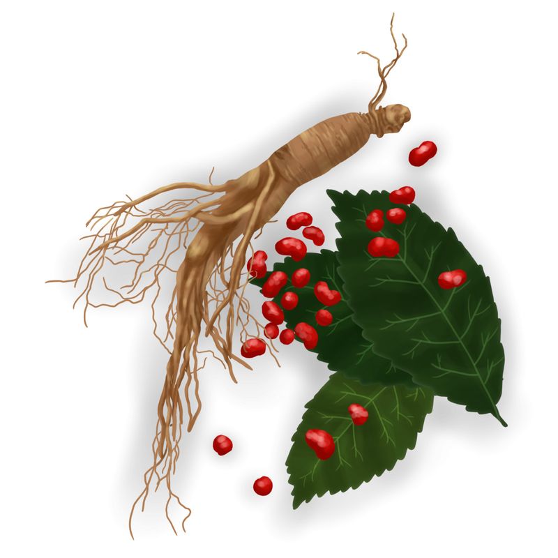 Can Ginseng Be Taken with Tea?-2