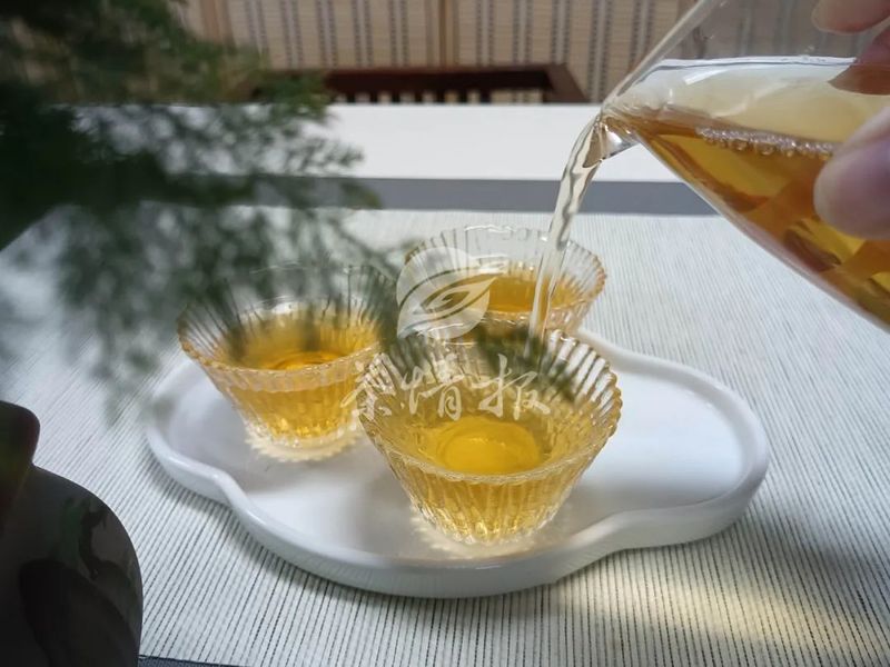 Tea from the Perspective of Traditional Chinese Medicine (TCM): You'll Want to Drink It Too!-4