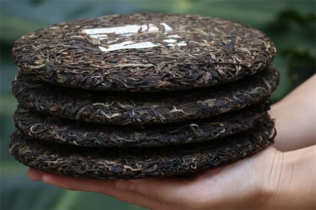 Puer Tea Collection: Raw or Ripe Tea?-2