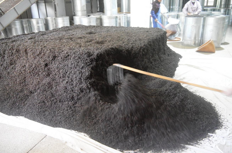 A Detailed Tutorial on Wuyi Rock Tea Refining Techniques by Intangible Cultural Heritage Practitioners, Highly Recommended for Collection!-9