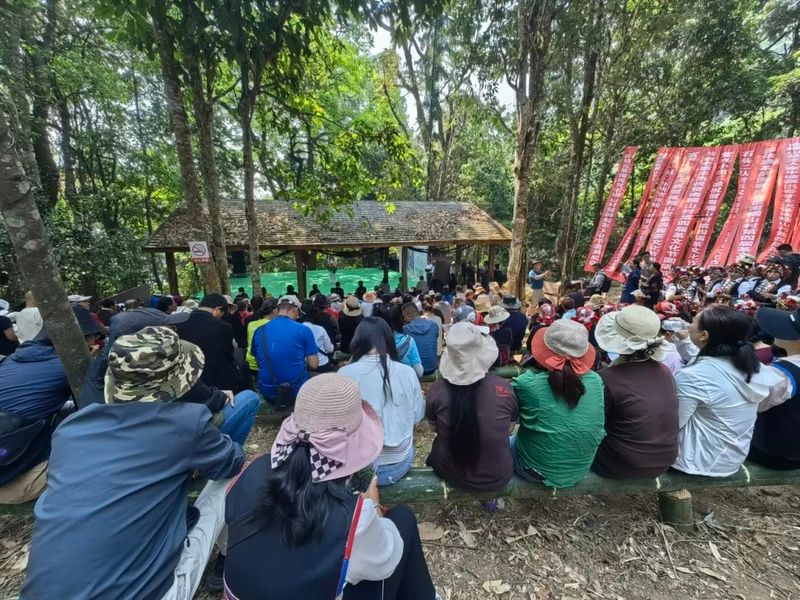 Promoting Rural Revitalization through Tea: The Ancient Tea Mountain of Nanuo Mountain Officially Opens for Spring Harvest-4