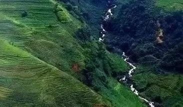 Wandering Through Jingdong's Time-Honored Ancient Tea Mountains: The Wuliang Mountains-5