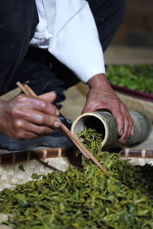 The Sour Tea of Jingmai Mountain: How Elaborate is its Preparation?-9