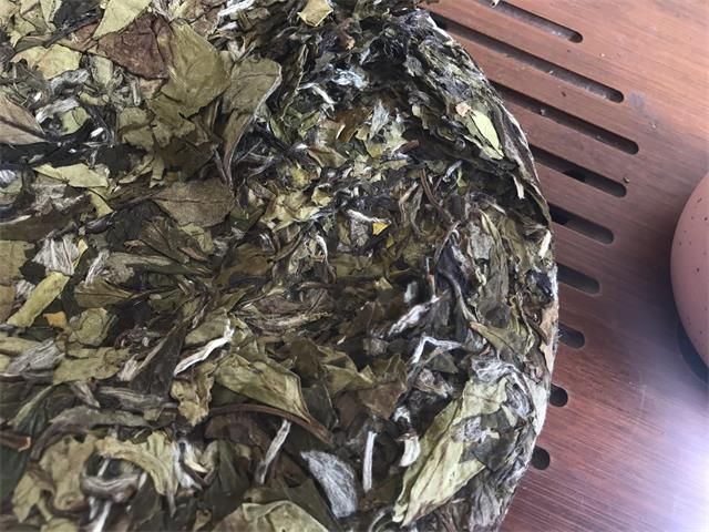 How to Store White Tea Best-1