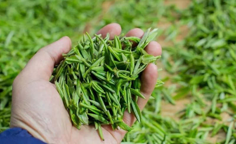 How is Green Tea Made, and What Are Its Benefits?-2