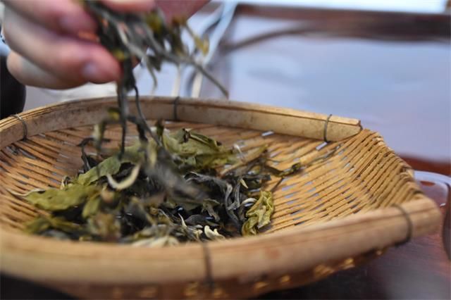 What Constitutes Good Pu'er Tea-1