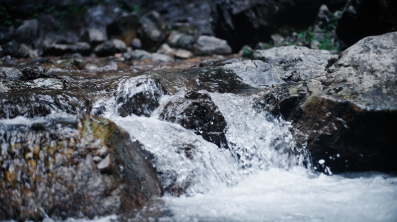 A Taste of Wuyi's Scenery in a Cup of Clear Tea-5