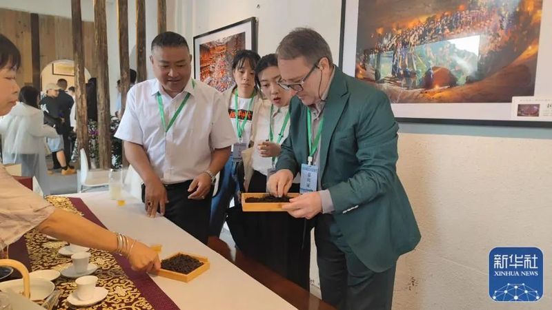 Major Central Media Focus on the Douyun Maojian Tea Conference-1