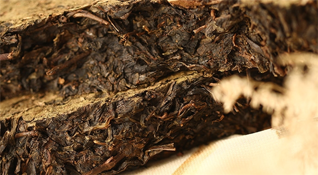 Dark Tea: Should it be Steeped or Boiled?