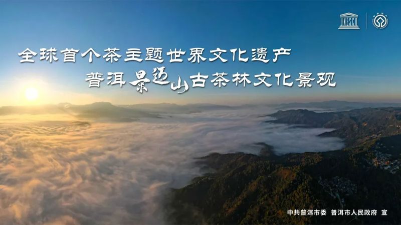 Why Jingmai Mountain?—The Journey to World Heritage Status for the Ancient Tea Forest Cultural Landscape of Pu'er Jingmai Mountain-3