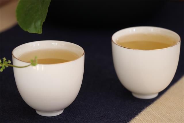 Why Drink Tea? Here's Probably the Most Comprehensive Answer!-2