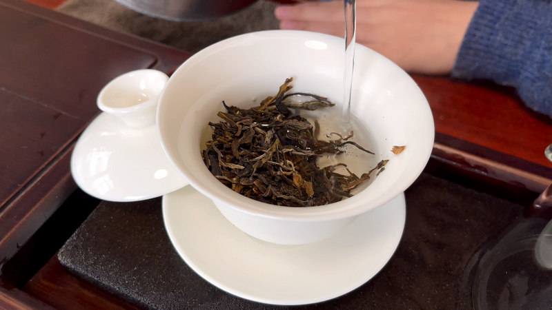 Features of Banshan Pu'er Tea and Brewing Method for Banshan Shengcha-8