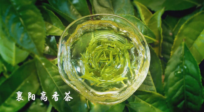 What Kind of Tea Can Be Called Good Hubei Tea?-4