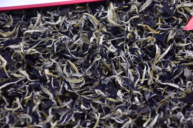 White Tea: Loose Leaf vs. Compressed—A Journey of Flavor and Choice-3