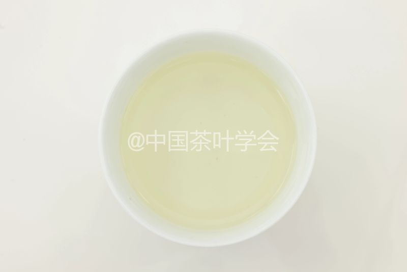 Weekly Tea Knowledge: I Know the Fresh Taste! Let's Talk About the Whitening and Yellowing of Tea Leaves ①-6