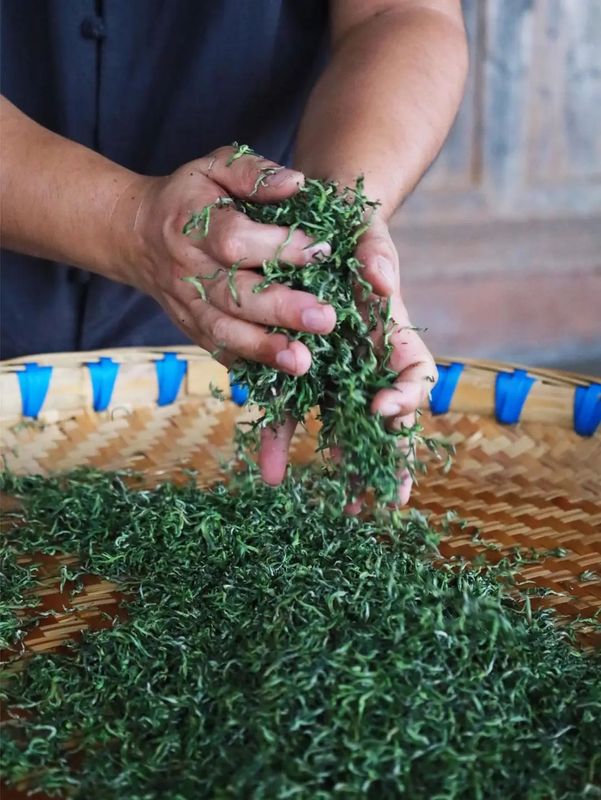 Mengding Ganlu: A Thousand-Year Journey of a Single Tea Leaf-13