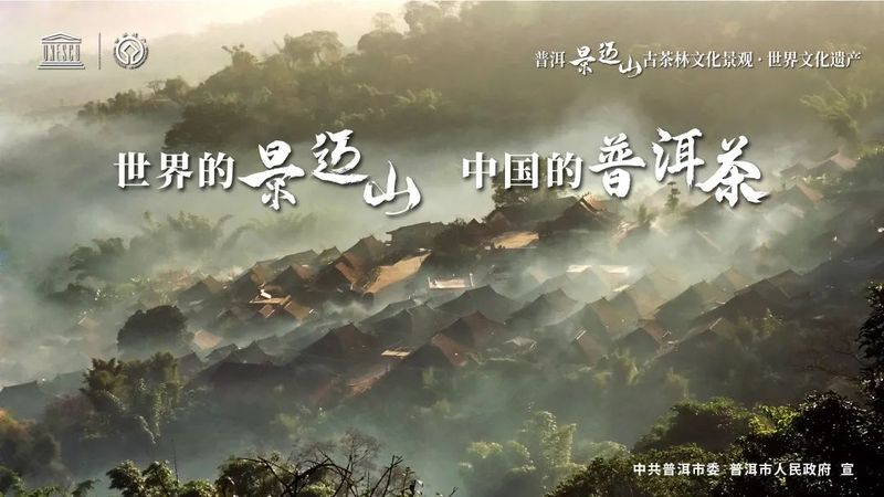 Why Jingmai Mountain?—The Journey to World Heritage Status for the Ancient Tea Forest Cultural Landscape of Pu'er Jingmai Mountain-4