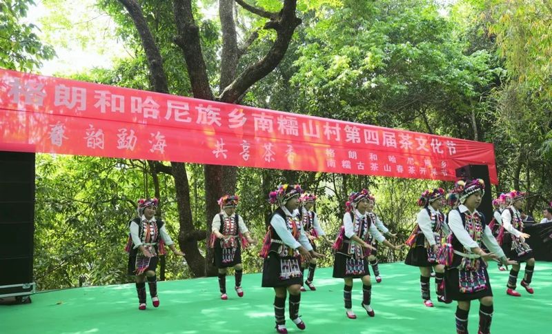 Promoting Rural Revitalization through Tea: The Ancient Tea Mountain of Nanuo Mountain Officially Opens for Spring Harvest-1