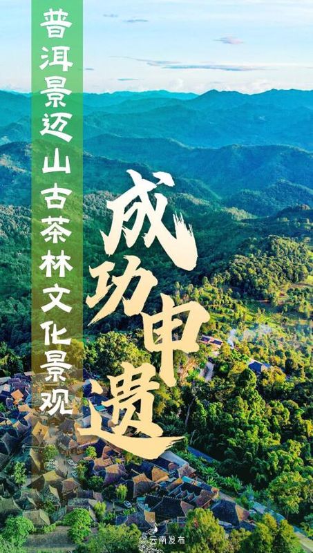 A Series of Posters Introducing the World Cultural Heritage Site: “The Ancient Tea Forest Cultural Landscape of Jingmai Mountain in Pu’er”