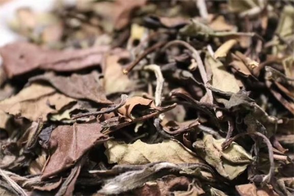 Troubled by the Heat of Summer? Perhaps You Need a Pot of Aged White Tea