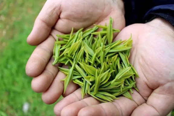 How to Select Longjing Tea?