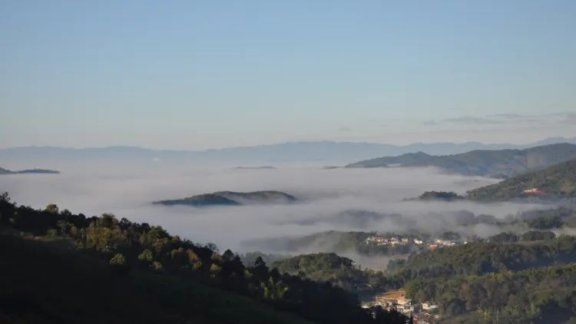 Tea Fragrance in Xishuangbanna: The Famous Pu’er Mountain – Mangsong Tea Mountain in Menghai