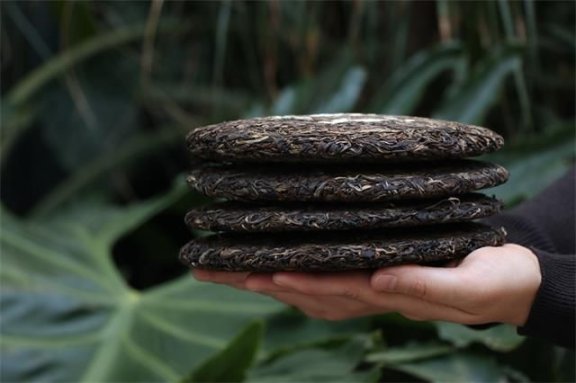 How to Brew and Properly Store Pu’er Tea Cakes