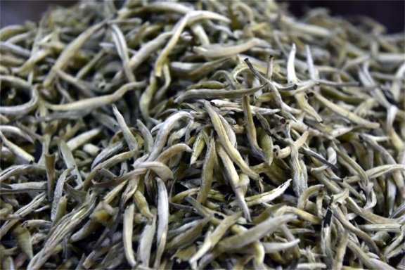 China’s Tea and Its Culture Part Five: “Chinese White Tea: History, Techniques, Market, and Future Prospects”