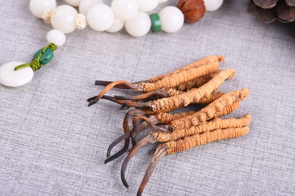 Brewing Method and Benefits of Cordyceps Tea