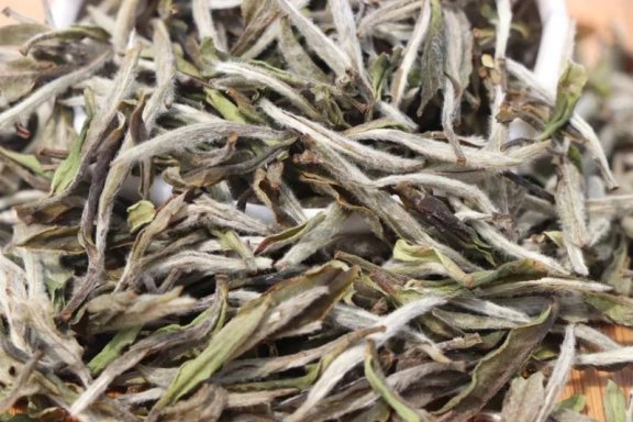 The Grace of White Tea: The Unique Charm of Bai Mudan and Silver Needle