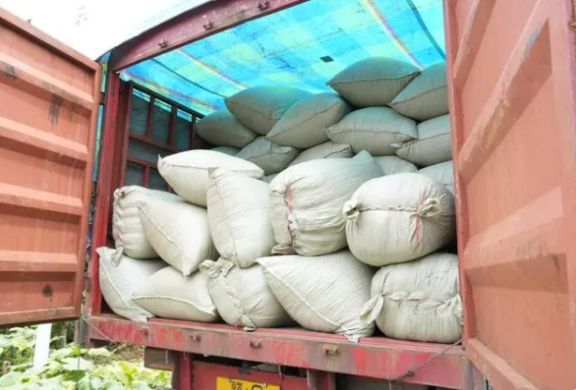 Sinan, Guizhou: First Shipment of 800-Ton Eco-Friendly Tea Order Marks Another Milestone on the Path to Green Development