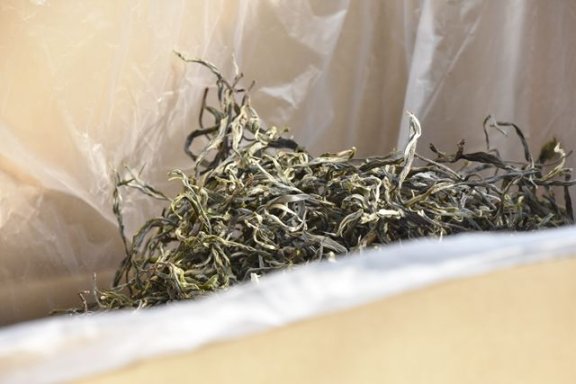 Puer Loose Tea Suitable for Long-Term Storage?