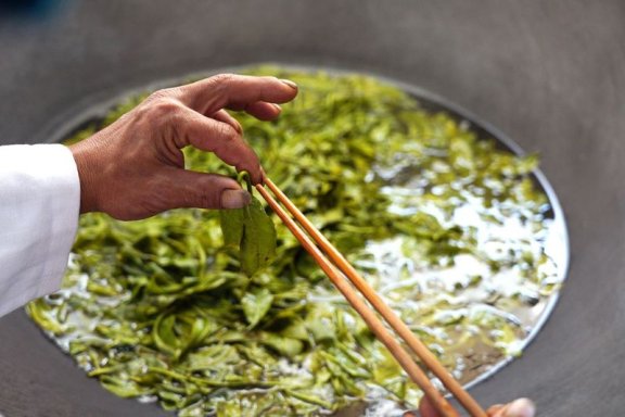 The Sour Tea of Jingmai Mountain: How Elaborate is its Preparation?